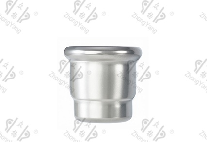 Pipe Cap